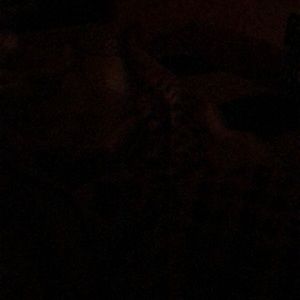 Meet your Posher, Karla